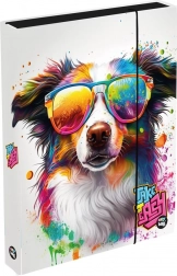 Box per quaderni A4 Jumbo con cane