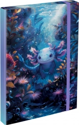 Cartelle per quaderni A4 Axolotl