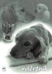 Blocco da disegno A3, 20 fogli