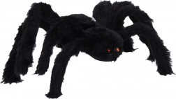Grande ragno nero per Halloween