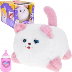 Gatto Interattivo Pusia