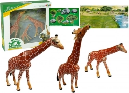Figurine educative di giraffe Famiglia 3 pezzi + Sfondo Africa