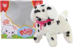 Cagnolino dalmata camminante con capriole