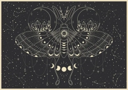 Puzzle Galaxy: Farfalla Lunare 500 pezzi