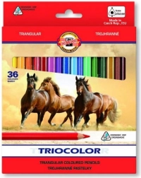 Matite colorate triangolari KOH-I-NOOR TRIOCOLOR, 36 pz