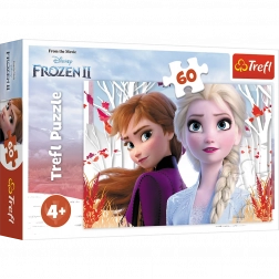 Puzzle 60 pezzi Il mondo incantato di Anna ed Elsa