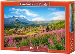 Puzzle da 1000 pezzi Hala Gąsienicowa, Tatra, Polonia