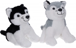 Husky di peluche 25 cm