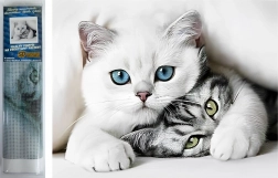 Pittura diamantata Segreto del Gatto 30 × 40 cm Norimpex