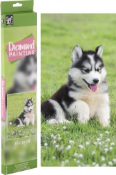 Pittura con diamanti Husky 40 × 50 cm