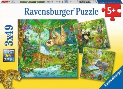 RAVENSBURGER Puzzle Animali nella giungla 3x49 pezzi
