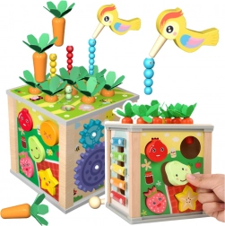 Cubo educativo in legno 6 in 1