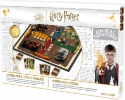 Gioco Harry Potter Sfida del Mago