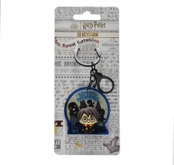 Portachiavi 3D Harry Potter
