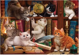 Puzzle Gattini in biblioteca 500 pezzi