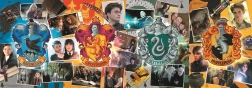 Puzzle 1000 pezzi quattro case di Hogwarts HARRY POTTER