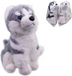 Cagnolino Husky di peluche 25 cm