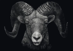 Puzzle Dominance dell’Ariete: Incarnazione del fuoco 1000 pezzi SCHMIDT