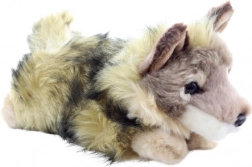 Coyote di peluche Eco-Friendly