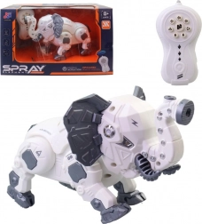 Roboslon a radiocomando