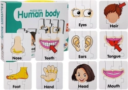 Puzzle educativi – parti del corpo umano, 10 coppie, vocaboli inglesi