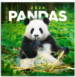 Calendario per appunti Panda 2026