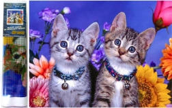 Pittura diamante Due gattini 30x40 cm