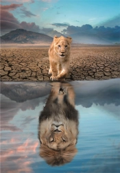 Puzzle 300 pezzi - Autoriflessione