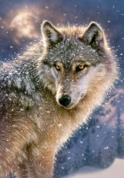 puzzle 500 pezzi lone wolf