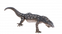 Figura realistica Varanus gigante