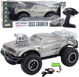 Grande auto RC fuoristrada 1:8, argento