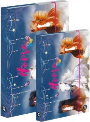 Set di box per quaderni A4 e A5 – cavallo