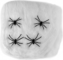 Decorazione Ragnatela con Ragni