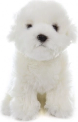 Maltese di peluche 31 cm