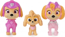 Figure Paw Patrol - 3 generazioni di Skye
