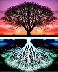 Pittura Diamond Albero 30x40 cm