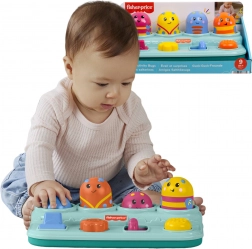 Fisher-Price giocattolo pop-up attivo per neonati – premi, fai scorrere e ruota