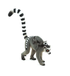 Mojo Lemure con cucciolo