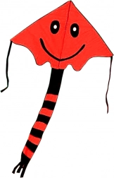 Aquilone sorridente 80 × 60 cm