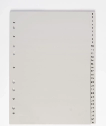 Divisorio per documenti A4 1-31