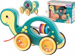 Giocattolo trainabile sensoriale tartaruga