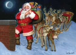 Puzzle Sul tetto 500 pezzi