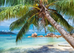 Puzzle Spiaggia tropicale 1000 pezzi