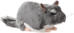 Cincillà di peluche 22 cm