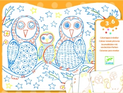 Colorazione magica Gufo e amici