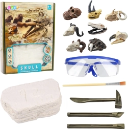 Set archeologico di scavo di teschi per bambini