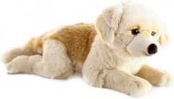 Golden retriever di peluche grande 55 cm