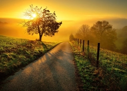 Puzzle Ravensburger Mattino nei raggi dorati 1000 pezzi