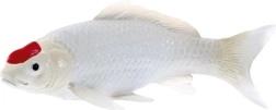 Mojo figurina carpa koi Tancho