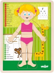 Woody puzzle doppia faccia corpo umano – bambina (in inglese)